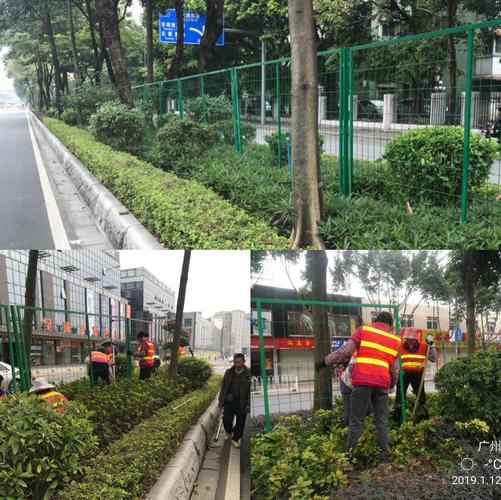 白云區(qū)城市管理局關于道路綠化管理工作的情況周報（2018年1月7日-2018年1月13日）